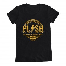 Flash World Tour